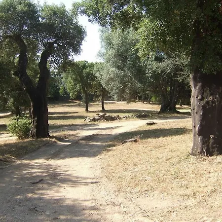 House With 2 Bedrooms In Porto-vecchio, With Pool Access, Enclosed Gar